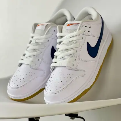 NK SB Dunk Sneaker Shoes for Men